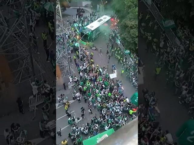 Así recibieron a el bus de Atlético Nacional vs Tolima (Desde la tribuna)