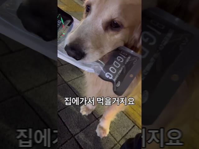 이맛에 퇴근이 즐겁죠 반려인 반려견 행복한 저녁 스토리 3편