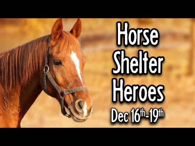 Horse Shelter Heroes | Dec 16-19, 2024