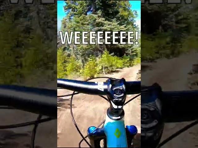 Beginner’s first time on a black diamond trail #getaway #adventure #youtubeshorts #shorts #mtb