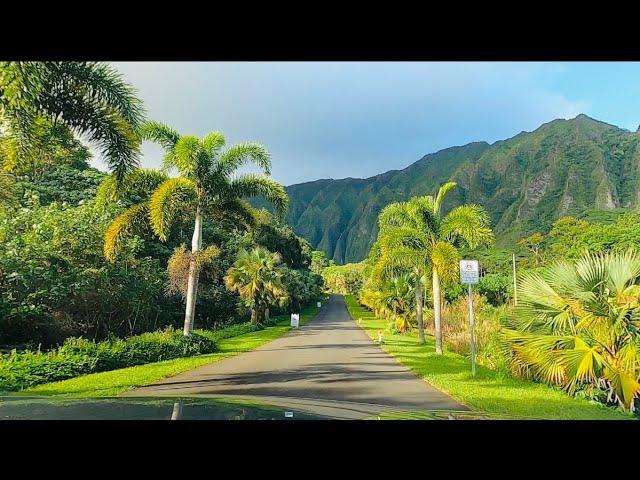 Hoomaluhia Botanical Garden | Oahu Hawaii | Instagrammable Spot 