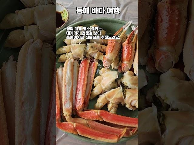 경북 영덕 대게 여행 #여행 #여행기 #경북영덕 #영덕여행 #영덕가볼만한곳