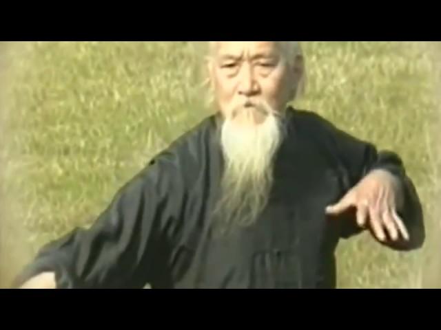 Qigong Master Lu Zijian at 118 years of age