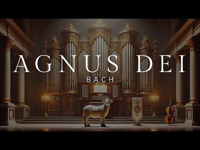 Bach: "Agnus Dei" (Mass in B minor, BWV 232)