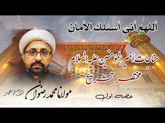 MAULANA MUHAMMAD RIZWAN AVD | MUNAJAAT E AMEER UL MOMINEEN (A.S) | CLIP 01 | BURRAK ORGANIZATION