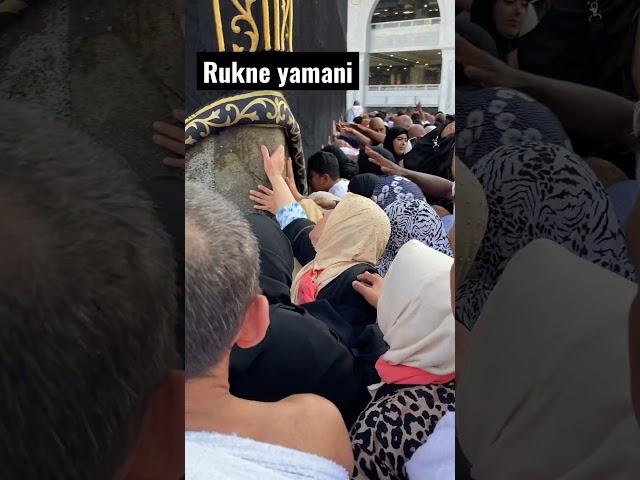 Close view of rukne yamani #youtubeshorts #shorts #travel