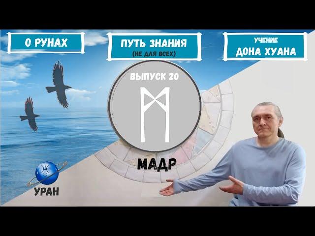 Руны XXI (2022)  / Выпуск 20 / Руна Мадр