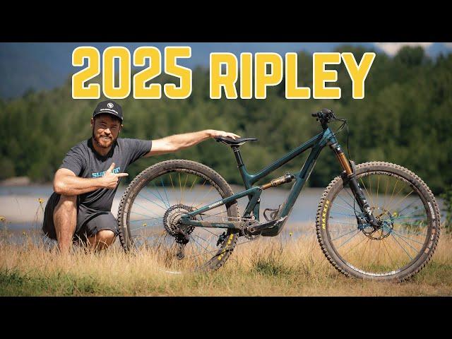 The one I'd get - 2025 Ibis Ripley