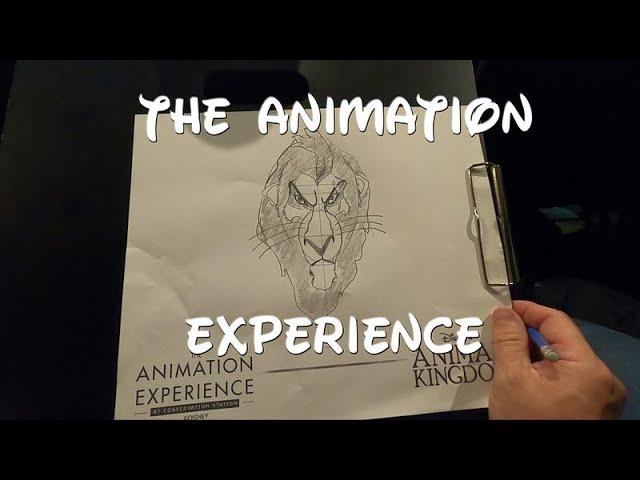 The Animation Experience