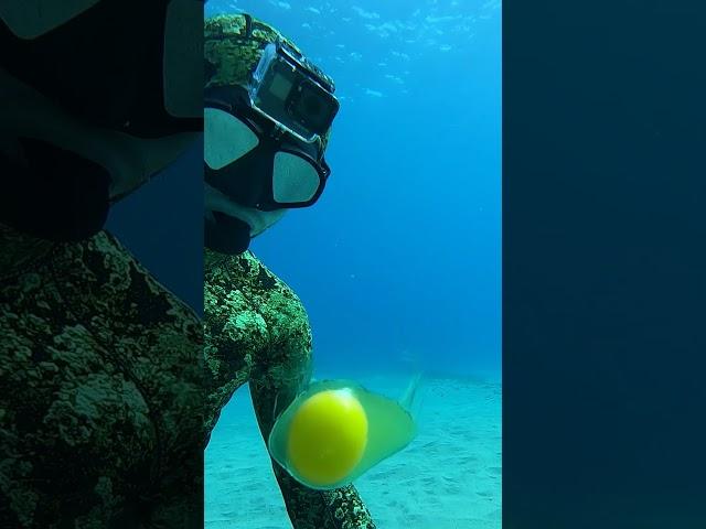 Diver Cracks Egg at 45 ft Deep #Shorts