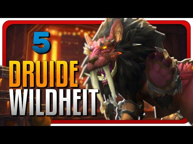 [Wildheit Druide | lvl 80]  - 5 - The War Within BG Commentary