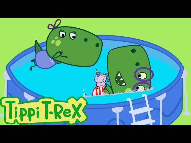 In the Swimming Pool like a Megalodon AND MORE EPISODES OF TIPPI T-REX