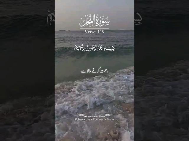 "Surah An-Nahl: The Path of Tawbah"" #virulsorts
