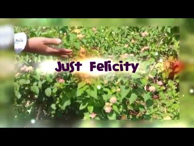 INTRO | JUST FELICITY 