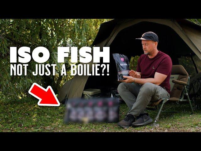 ISO FISH - Not just a boilie! Carp Fishing Baits In Detail | Mainline Baits