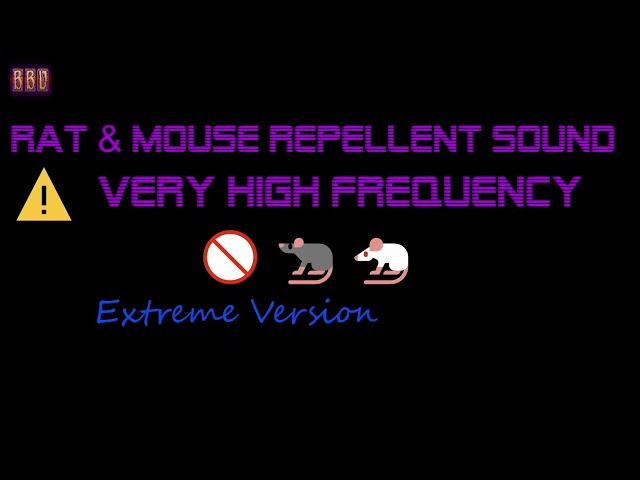 ️(Extreme Version)  Rat & Mouse Repellent Sound Very High Frequency (6 Hour)