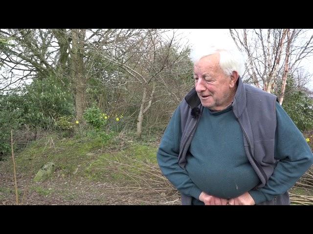 Ash Trees and Honey Bees   Jim Dunne of Oulart