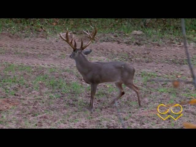 Twisted Oaks Ranch with Jeff Copeland