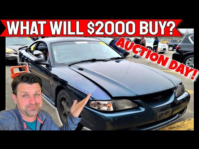 What will $2000 buy you at a Dealer Only Auction? - Flying Wheels