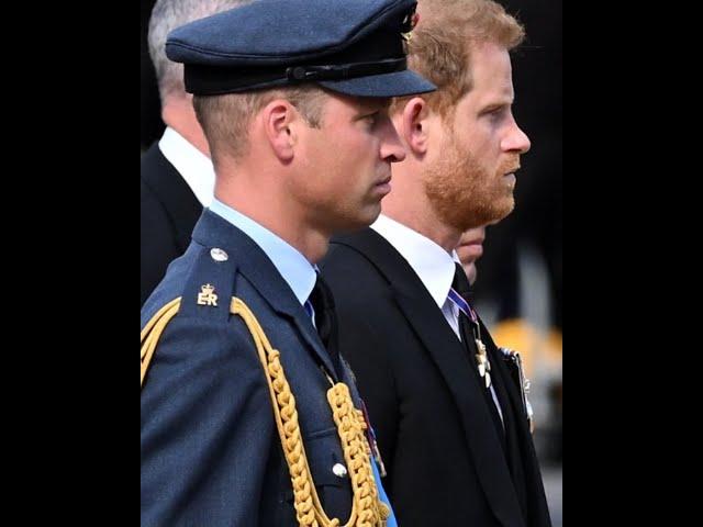 Lip Reader On What Prince William And Prince Harry Said During The Queen's Funeral