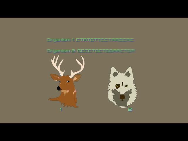 Introduction to Barcoding