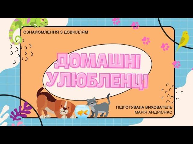 Заняття з ознайомлення з довкіллям "Домашні улюбленці".