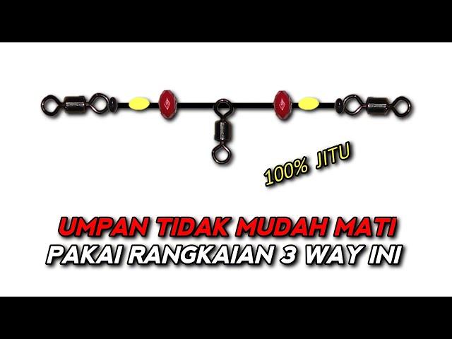 Rangkaian pancing 3 Way hidup | Ngoncer bawah | umpan hidup