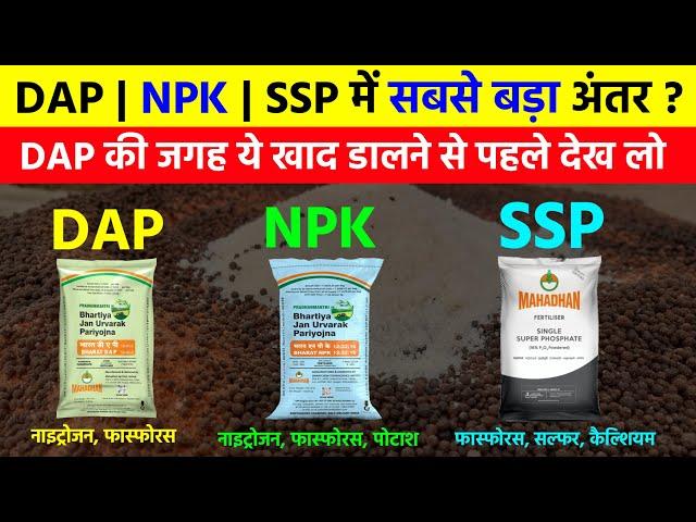 DAP, NPK और SSP में सबसे ताकतवर खाद कौन सी है | DAP की जगह कौन सी खाद डालें | DAP vs NPK Fertilizer