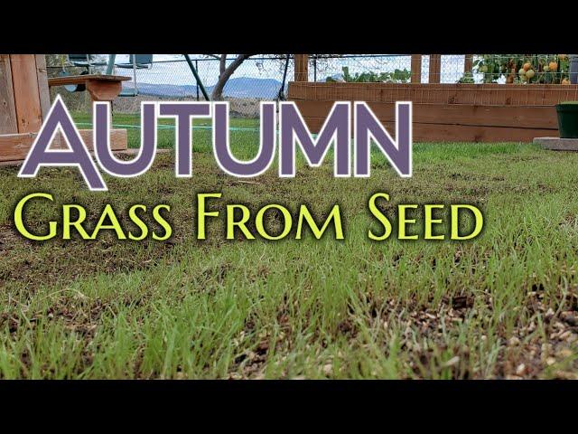 Plant A New Lawn This Fall - Grading & Seeding - Expanding My Flat Grass Space