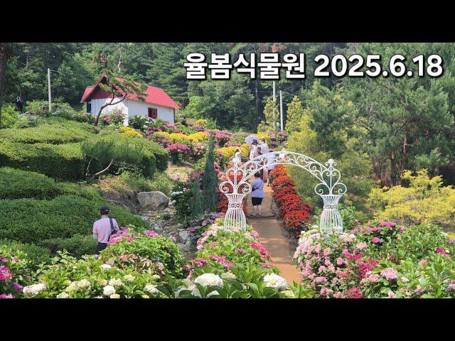 연비깡패 EV3와 함께하는 여름꽃여행, 수국꽃 경기도 광주시 율봄식물원 2025.6.18 #기아 #전기차 #주차정보