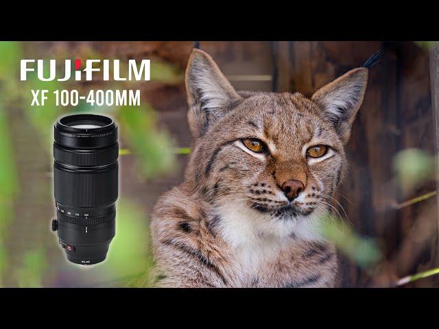 Fujifilm XF 100-400mm Review - Still the go to in 2024? & Romania's Wildlife