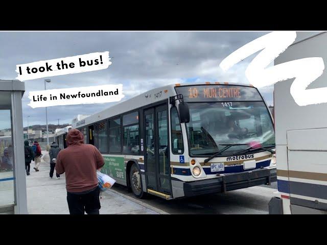 Quick Store Trip and Bus Ride in St. John’s, Newfoundland #metrobus