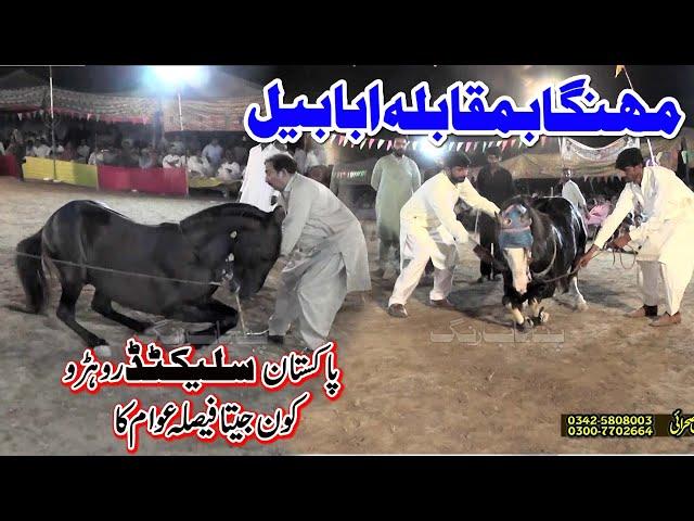 Ababeel vs Mehnga l Horse Dance 30 September 2023 l Mehmood Pura Chak No 1 Nankana l Haji Niaz As