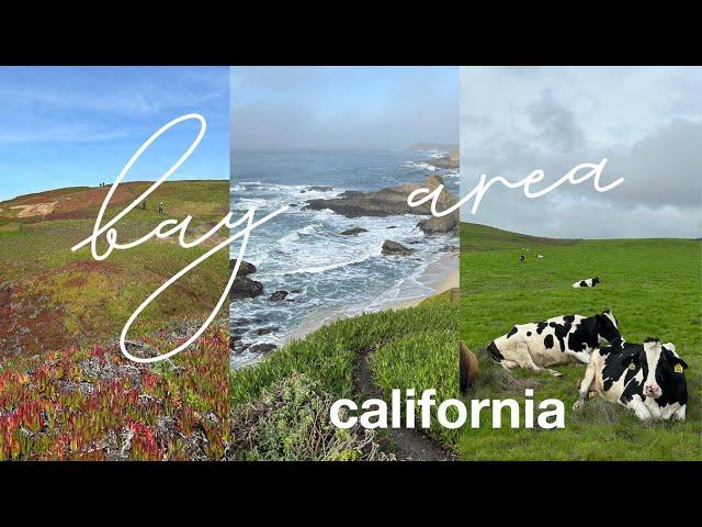 A week in california (bay area hometown)