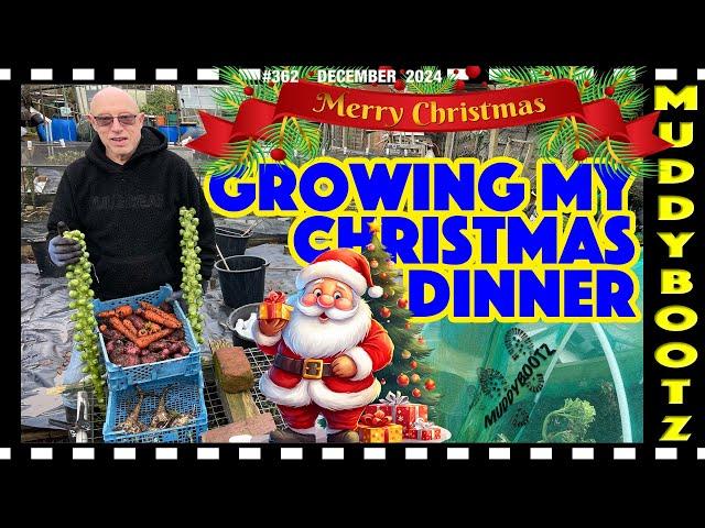 362  GROWING MY CHRISTMAS DINNER  WINTER HARVEST 