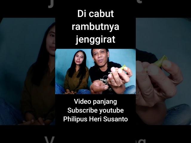 cabut rambut kacang buncis