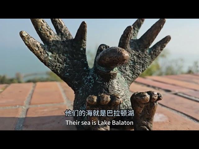 坐游轮游东欧，发现匈牙利之海的无限美景，别墅50万欧是豪 #维京游轮 #我的维京之旅 #退休生活