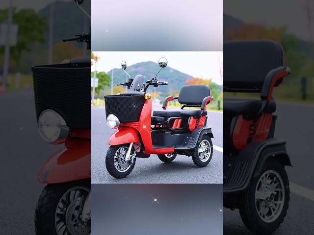 Popular Three wheel electric scooters