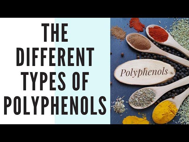 What Are The Different Types Of Polyphenols?