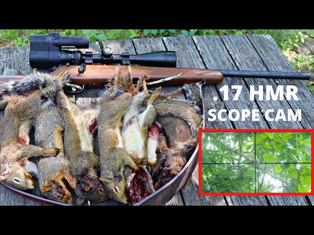 SAVAGE .17 HMR SCOPE CAM SQUIRREL HUNT