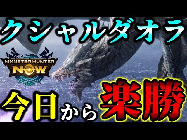 【今日から楽勝】「クシャ簡単立ち回り解説＆8行く前にコレ作れ」つまりプロが解説【モンハンNow】