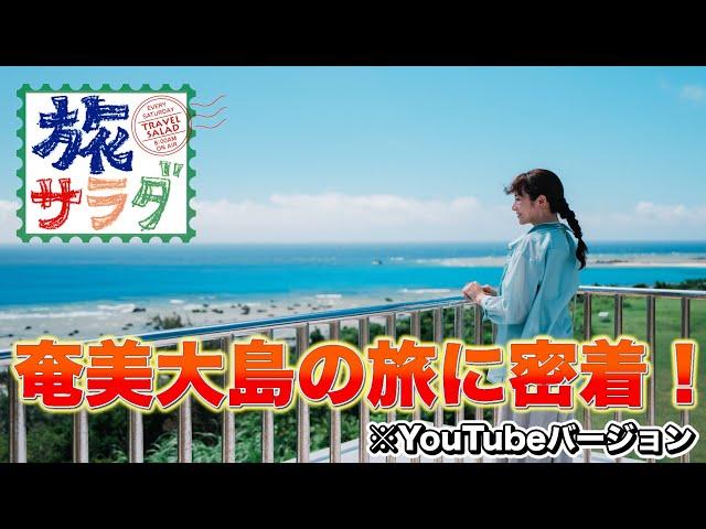 【奄美大島】オンとオフの使い分け【旅サラダ】