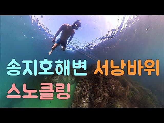 강원도 고성군 송지호해변 서낭바위 스노클링 해보자