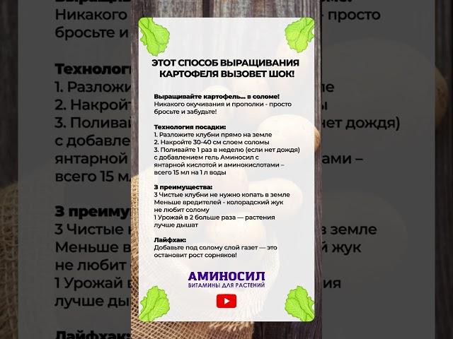 ЛУЧШИЙ способ для выращивания КАРТОФЕЛЯ! #сад #картофель #огород