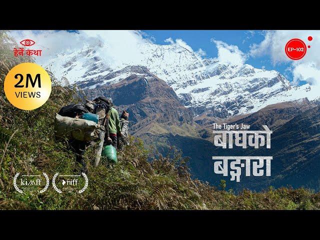 बाघको बङ्गारा | The Tiger's Jaw | Award Winning Documentary | Herne Katha EP102 | हेर्ने कथा