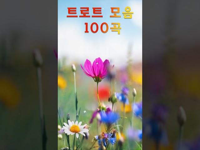트로트 모음 100곡 광고없는  심금을 울리는 애절한 트로트 모음 최고의 히트 트로트 20곡  #트로트
