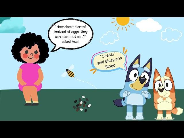 Asal and Bluey Learn about Sunflowers