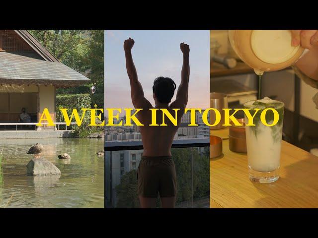 1 Week in Tokyo | best matcha, good eats, harajuku shopping, beautiful parks, design culture