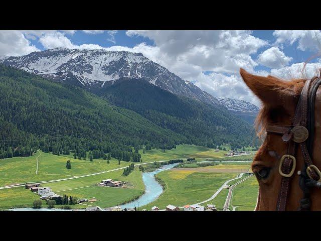 horsebackriding in the swiss mountains (gopro hero 8 black helmet cam)