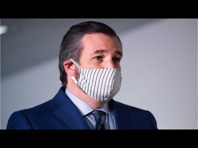 Ted Cruz Calls Texas Resolution Dubbing 'Chinese Virus' As Hate Speech 'Nuts'